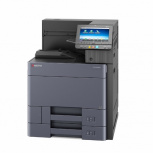Kyocera Ecosys P8060cdn, Color, Láser, Print