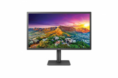 Monitor LG IPS Ultrafine 4K LED 23.7”, 4K Ultra HD, Negro