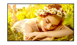 LG 75UL5Q Pantalla Comercial LED 75", 4K Ultra HD, Negro