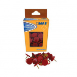 Mae Tachuela PVC, Paquete de 100 Piezas, Rojo