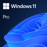 Microsoft Windows 11 Pro, 64-bit, 1 PC, Español