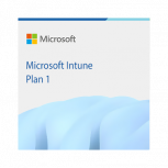 Microsoft Intune Plan 1, 1 Mes