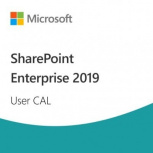 SharePoint Enterprise 2019, 1 Usuario CAL, Perpetua
