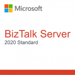 BizTalk Server Standard 2020, Perpetua