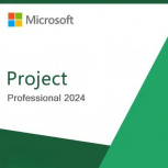 Project Professional 2024, Perpetua