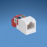 Panduit Jack Modular Mini-Com TX5e Cat5e, Violeta