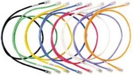 Panduit Cable Patch Cat6a FTP RJ-45 Macho - RJ-45 Macho, 30cm, Rojo