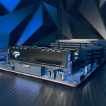 Memoria RAM Patriot Signature Line Premium DDR5, 5600MHz, 16GB, CL46 image