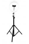 Perfect Choice Aro de Luz LED PC-120407, 160cm, 1800 Lúmenes, Luz Cálida/Fría