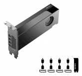 Tarjeta de Video PNY NVIDIA RTX PRO 2000 Blackwell, 16GB 128-bit GDDR7, PCI Express x8 5.0 - Imagen adicional 1