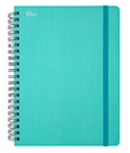 Printaform Cuaderno Profesional PRUARPC5, 200 Hojas de Cuadro Chico 5mm, Azul