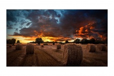 Samsung VM46T-U Pantalla Comercial IPS 46", Full HD, Negro