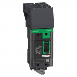 Schneider Electric Interruptor Termomagnético 2 Polos BDA260301, 525V, 30A, Entrada 347V