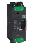 Schneider Electric Interruptor Termomagnético 2 Polos BDL26015LU, 525V, 15A, Entrada 240V