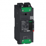 Schneider Electric Interruptor Termomagnético 2 Polos BDL26015LU, 525V, 15A, Entrada 240V