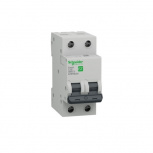 Schneider Electric Interruptor Termomagnético de 2 Polos Easy9, 220V, 50A