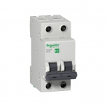 Schneider Electric Interruptor Termomagnético de 2 Polos Easy9, 220V, 63A