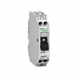 Schneider Electric Interruptor Termomagnético de 2 Polos TeSys GB2, 250V, 4A
