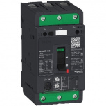 Schneider Electric Interruptor Termomagnético 3 Polos GV4PE50S, 690V, 50A, Entrada 220 - 440V