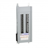 Schneider Electric Centro de Carga NQ42L2C, 42 Polos, 225A, Sobreponer, Gris