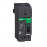 Schneider Electric Interruptor Automático 2 Polos QDA221252, 240V, 125A, Entrada 240V