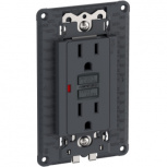 Schneider Electric Tomacorriente Orión, 2 Enchufes, 125V, 15A, Grafito