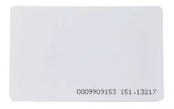 Securitag Tarjetas de Proximidad RFID EM4200, 8.56 x 5.39cm, Blanco - 100 Piezas
