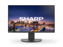 Monitor Sharp DD-EA241F LCD IPS 23.8", 1920x1080 Full HD, 60Hz, HDMI/DisplayPort, Bocinas Integradas, Negro