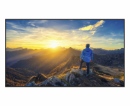 Sharp PN-E559 Pantalla Comercial LED 55", 4K Ultra HD, Negro