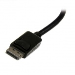 Startech.com Adaptador Convertidor DisplayPort Macho - VGA/DVI/HDMI Hembra, 28.4cm, Negro