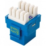 Steren Jack de Red de 8 Contactos Cat5e, RJ-45, Azul