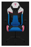 ThunderX3 Silla Gamer TC5 MAX DIVA, hasta 150Kg, Multicolor
