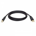 Tripp Lite Cable USB 2.0 A Macho - USB 2.0 B Macho, 1.83 Metros, Negro