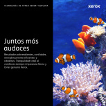 Tóner Xerox 006R04388 Cian, 1.500 Páginas - Imagen adicional 11