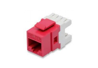 Belden Jack de Red Cat6a, RJ-45, Rojo/Blanco