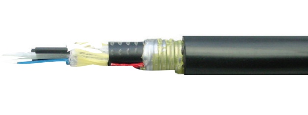 Belden Cable Fibra Óptica OM4 de 12 Hilos Multimodo, Negro