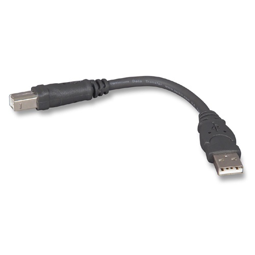 Belkin Cable USB A Macho - USB B Macho, 15cm, Negro