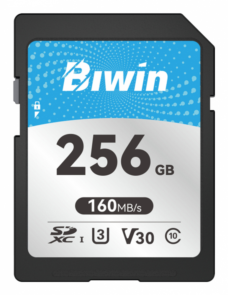 Memoria Flash Biwin SD160, 256GB SD UHS-I Clase 10