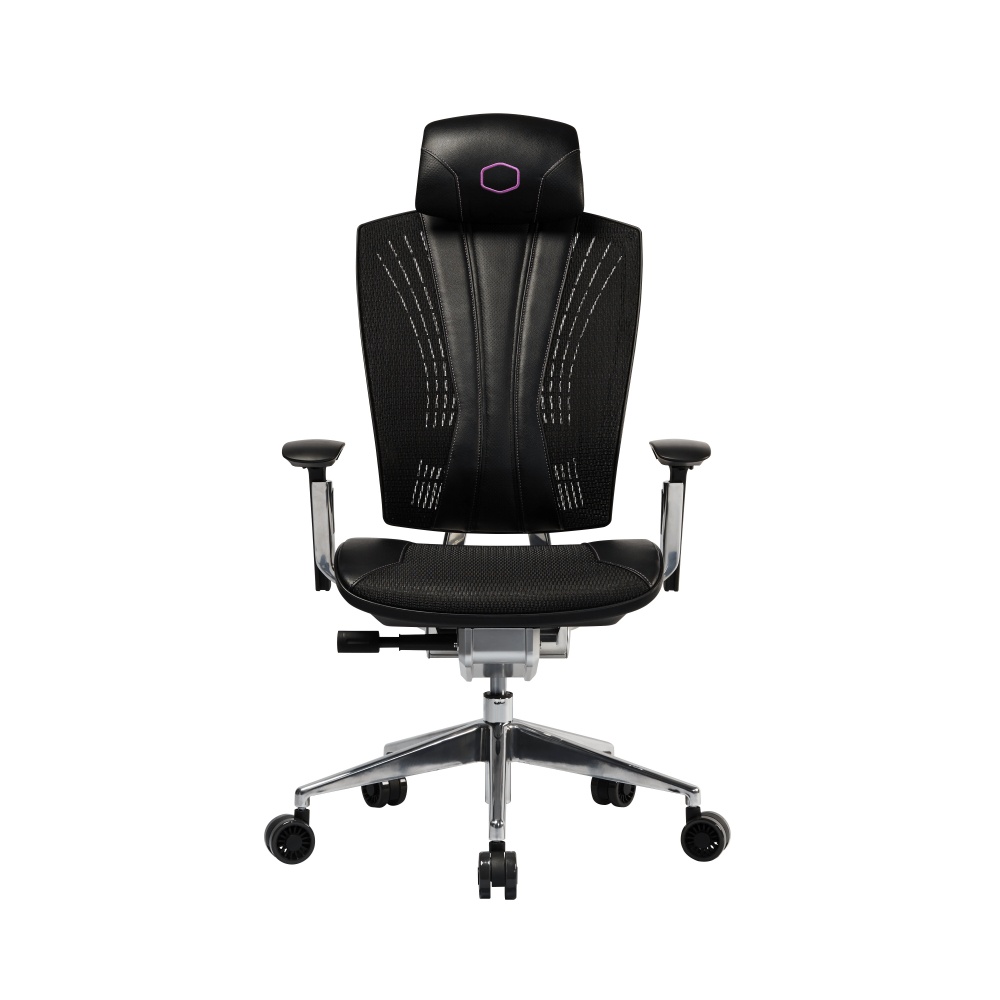 Cooler Master Silla Gamer Ergo L, hasta 200Kg, Negro/Plata