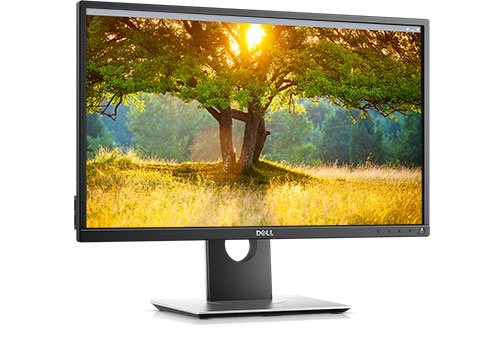 Monitor Dell P2417H IPS 24", 1920x1080 Full HD, 60Hz, HDMI/DisplayPort, Negro/Plata