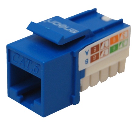 Enson Jack de Red Cat6, RJ-45, Azul