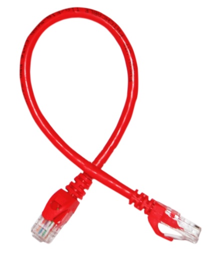 Enson Cable Patch Cat6 UTP RJ-45 Macho - RJ-45 Macho, 30cm, Rojo