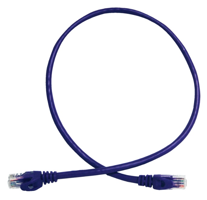 Enson Cable Patch Cat6 UTP RJ-45 Macho - RJ-45 Macho, 60cm, Morado