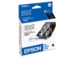 Cartucho Epson T059820 Negro Mate, 440 Páginas