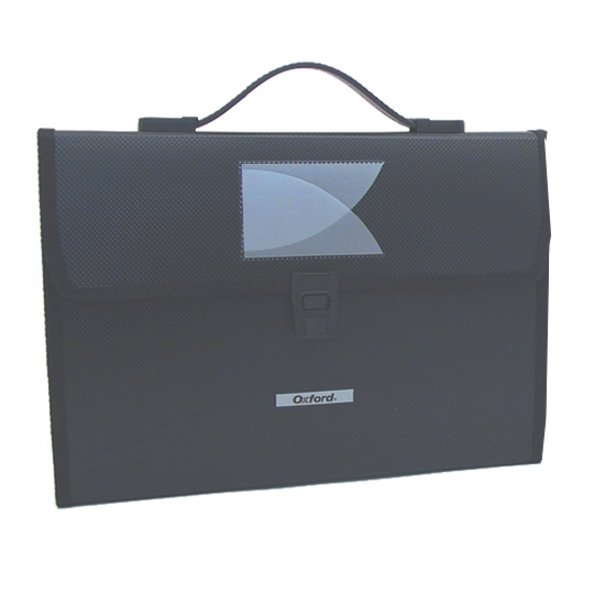 Esselte Archivo Expandible F138, Tamaño Carta, 13 Divisiones