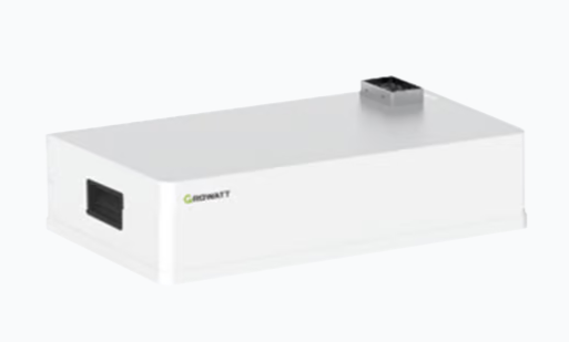 Growatt Batería de litio LiFePO4 48VDC, 5kWh