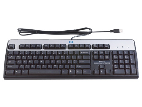 Teclado HP Standard DT528A, Alámbrico, USB, Negro (Esp)