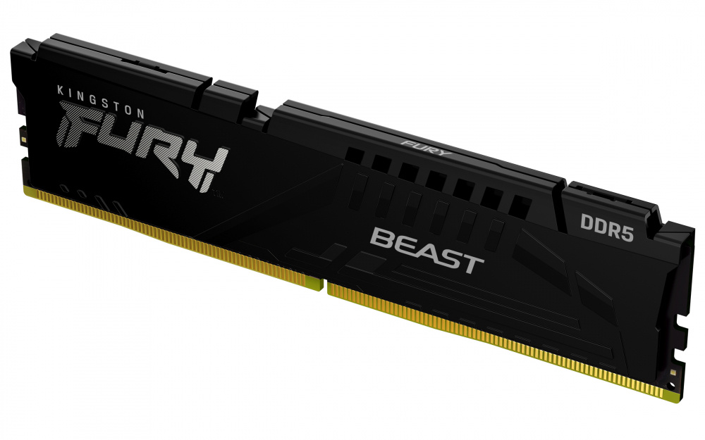 Memoria RAM Kingston FURY BEAST DDR5, 5600MHz, 8GB, CL36, XMP/EXPO