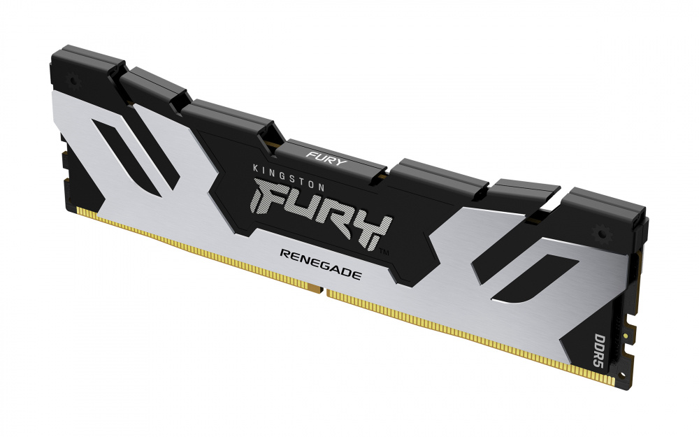 Memoria RAM Kingston FURY Renegade DDR5, 6400MHz, 32GB, CL32, XMP, Plata