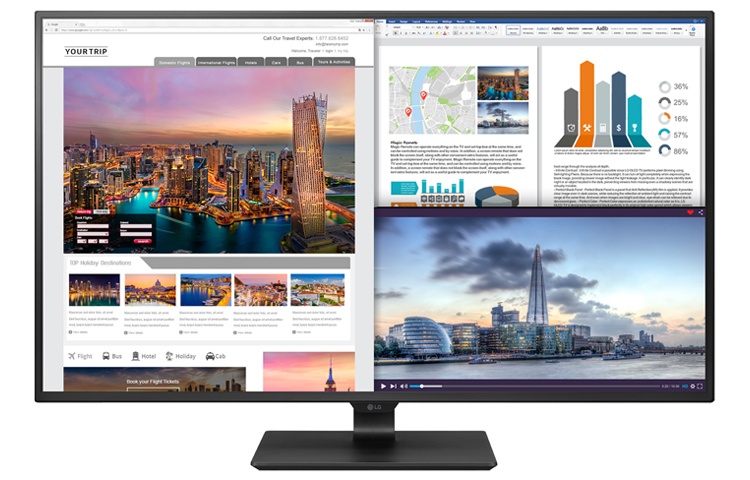 Monitor LG 43MU79-B LED 43", 4K Ultra HD, HDMI, Bocinas Integradas (2 x 20W), Negro